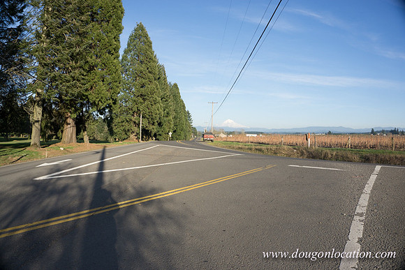 Kelso Rd W Driving E-3967