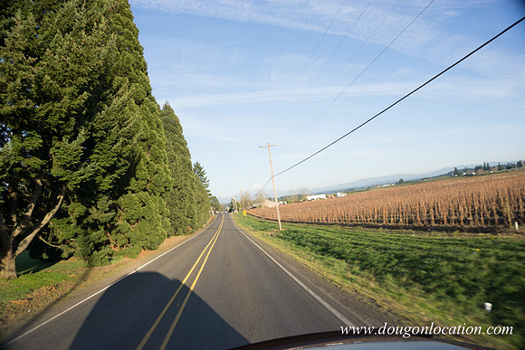 Kelso Rd W Driving E-3996