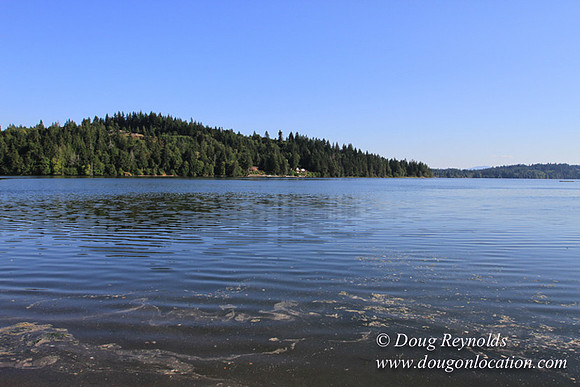 Boat, Cabin, Dave's, Dock, Home, "House lake", Ocean, "Puget Sound", Salt, Small, WA, Washington, Water, Yard, deck, "green. Beach", vacation