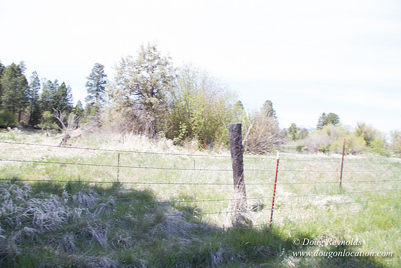 Ranch 18