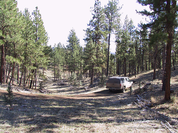 Ranch 7