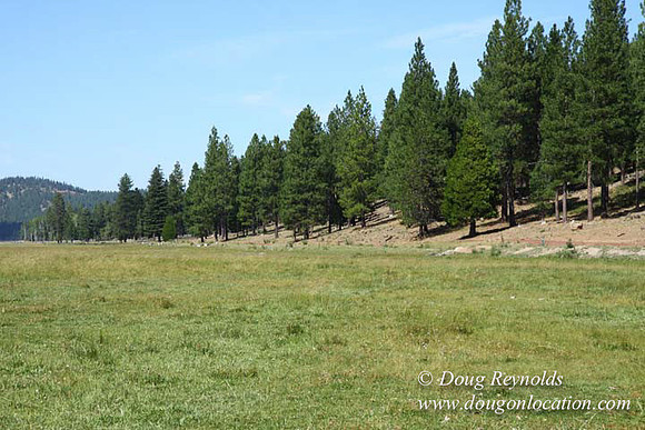 Ranch 18 South side of Hwy  has 2500 Acres of green fields Creeks water crossing Bridges on a Large Lake and miles of Dirt roads Oak trees  Forest land ATV Trails cows