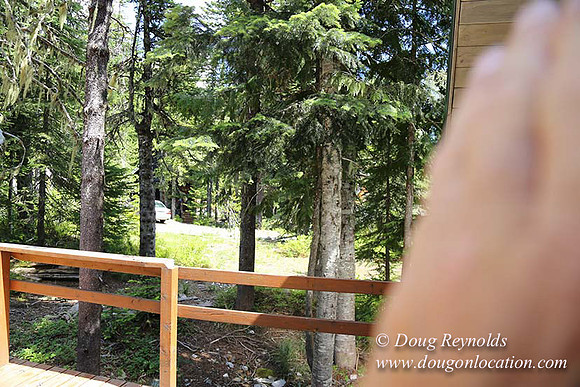 Jerry's Cabin-6679