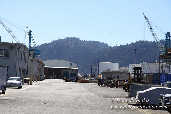 Ship Yard-0579