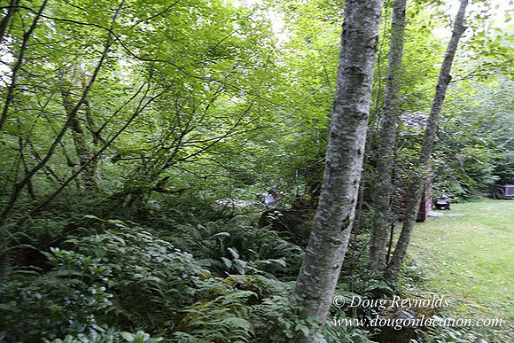 Dalles House-7204