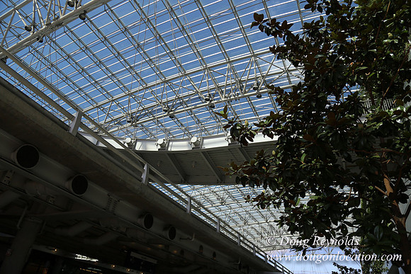 PDX Arrival-3916