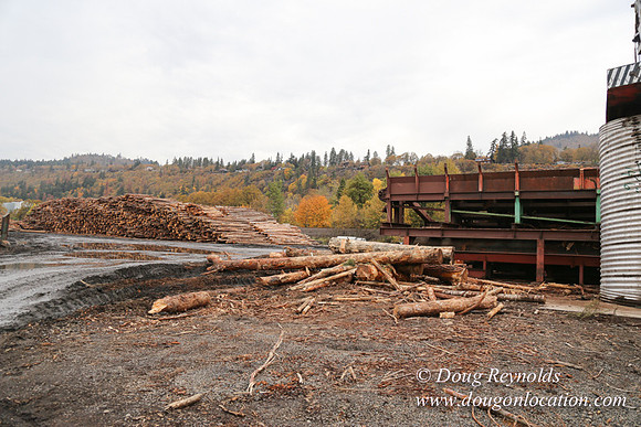 SDS Lumber-1368