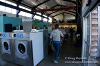 Spin Laundry-2696