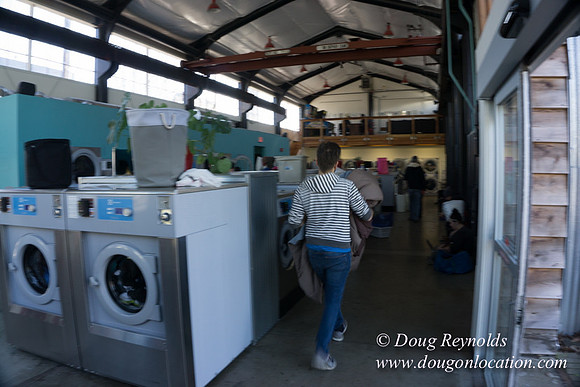 Spin Laundry-2696