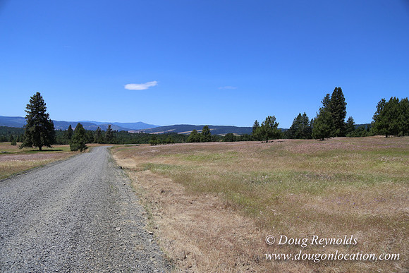 Brothers Ranch-8450