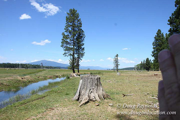 Ranch 18 South side of Hwy  has 2500 Acres of green fields Creeks water crossing Bridges on a Large Lake and miles of Dirt roads Oak trees  Forest land ATV Trails cows