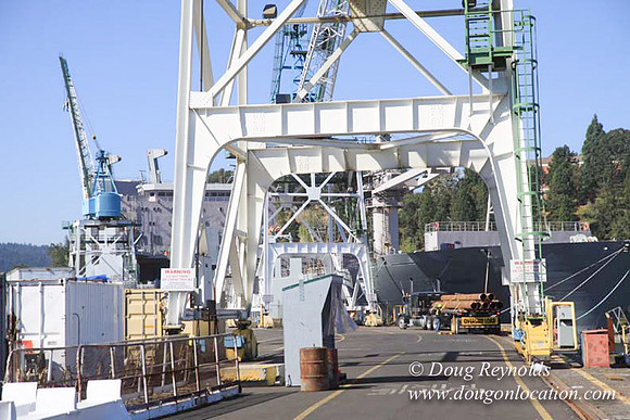 Ship Yard-0534