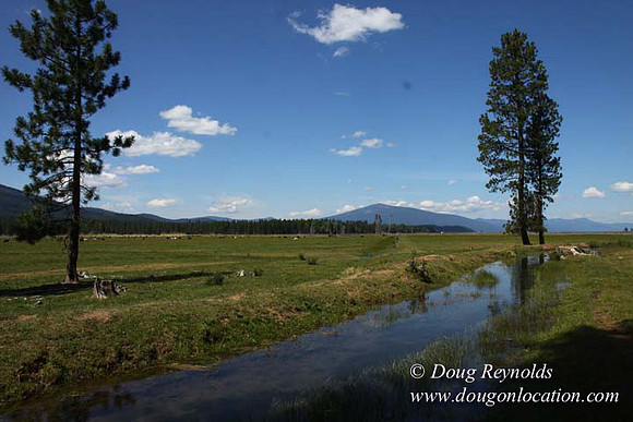 Ranch 18 South side of Hwy  has 2500 Acres of green fields Creeks water crossing Bridges on a Large Lake and miles of Dirt roads Oak trees  Forest land ATV Trails cows