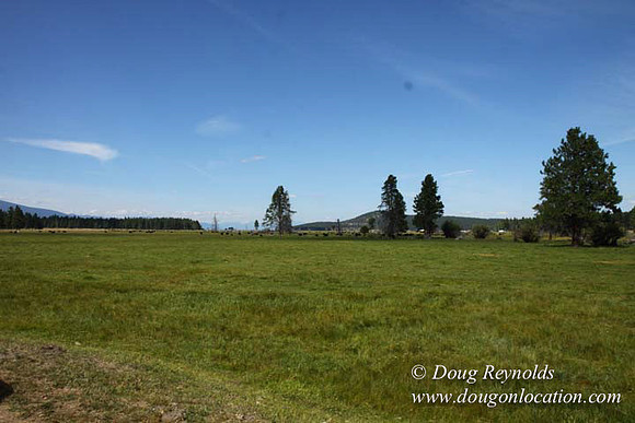 Ranch 18 South side of Hwy  has 2500 Acres of green fields Creeks water crossing Bridges on a Large Lake and miles of Dirt roads Oak trees  Forest land ATV Trails cows