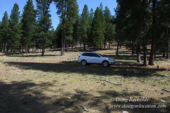 Ranch 18 South side of Hwy  has 2500 Acres of green fields Creeks water crossing Bridges on a Large Lake and miles of Dirt roads Oak trees  Forest land ATV Trails cows