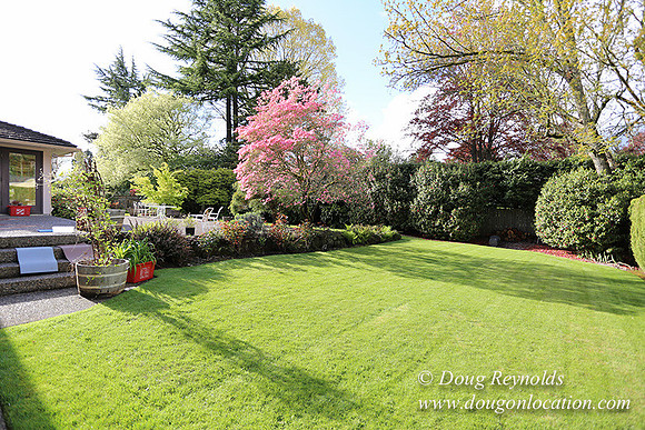 Mid Century Traditional Style Home, With a Basement, 2 car garage average sized Back Yard with Patio