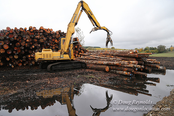 Saw Mill and Lumber Yard
