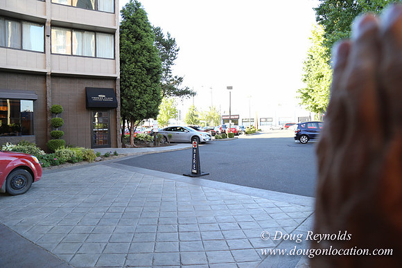 Crowne Plaza Hotel-4052
