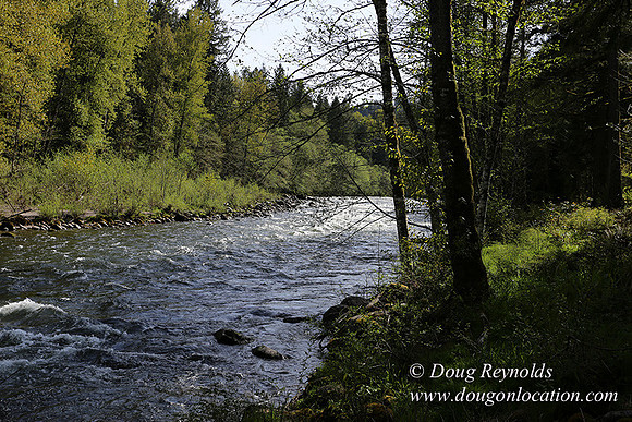 Brians River Side-9862