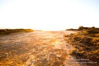 OPVPSBSP  Rock Coastal Area