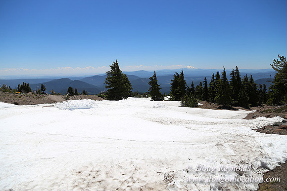 Timber Line-5374
