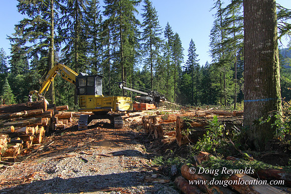 Craig Logging-3179