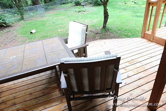 Cabin;  Home;  House; OR, Oregon Yard; deck; green. River,