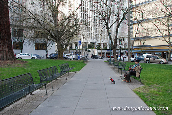 Lownsdale Square-0439
