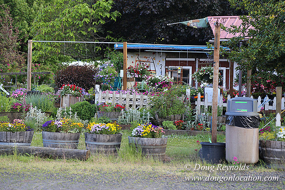 Jim Dandy Farm-5066
