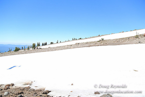 Timber Line-5389