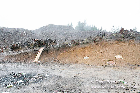 WC Clear Cut 2010-7823