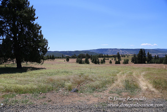 Brothers Ranch-8456