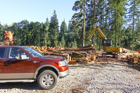 Craig Logging-3180