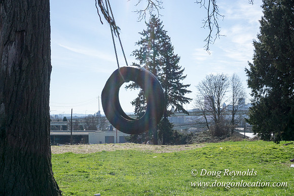 Tire Swing2692