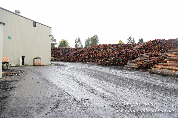 Saw Mill and Lumber Yard