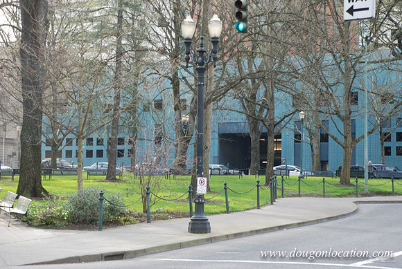 Chapman Square-0441