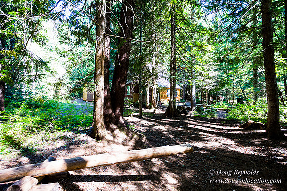 Karri's Cabin