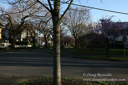 East Morland