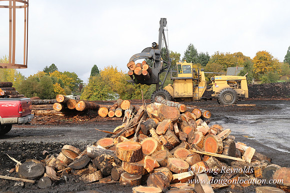 Saw Mill and Lumber Yard