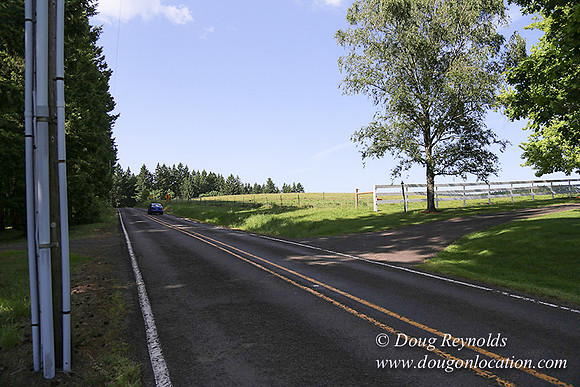 "2 Barns", "2 car garage", "40+ Acres", "PDX Zone", Pool, "White Fence", cows, "farm House", "rap around dive", "well maintained"