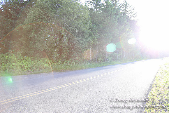 Oak Ridge Rd 2-7155