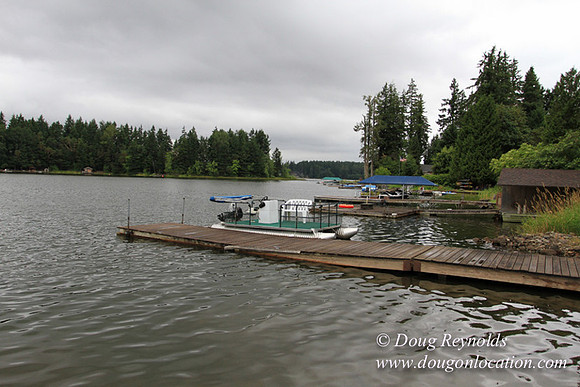 Boat, Cabin, Dock, "Greg's", Home, House, Lake, Small, WA, Washington, Yard, deck, green., vacation