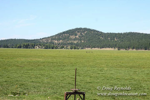Ranch 18 South side of Hwy  has 2500 Acres of green fields Creeks water crossing Bridges on a Large Lake and miles of Dirt roads Oak trees  Forest land ATV Trails cows