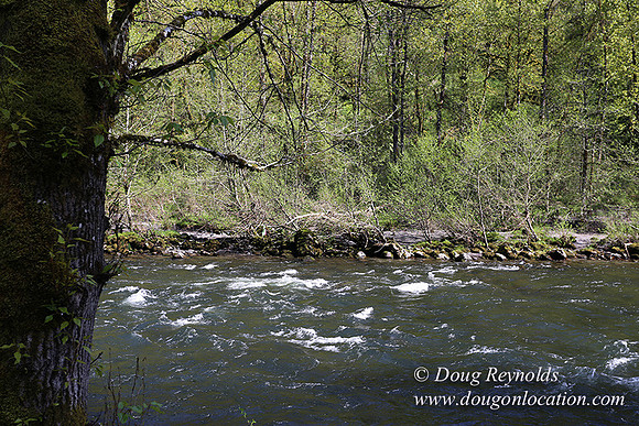 Brians River Side-9864