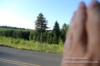 Oak Ridge Rd 2-7120