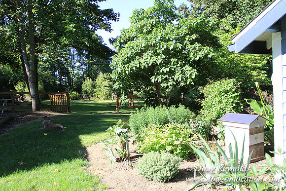 Traditional Style Home small farm with large kitchen great room, 2 story, 2 car garage on Acreage with large back yard, large front yard, garden, pond, deck, goats, bees, shop, PDX Zone