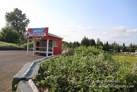 Hood Road Stand-5054