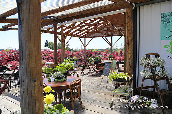 Little Door Farm Market-5397