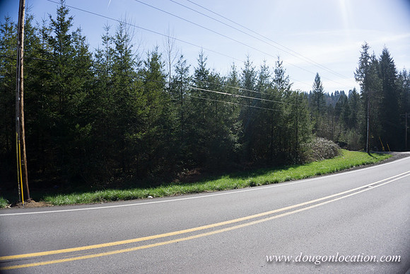 Hwy 211 Sandy-3487