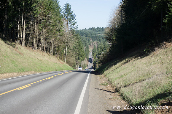 Hwy 211 Sandy-3474